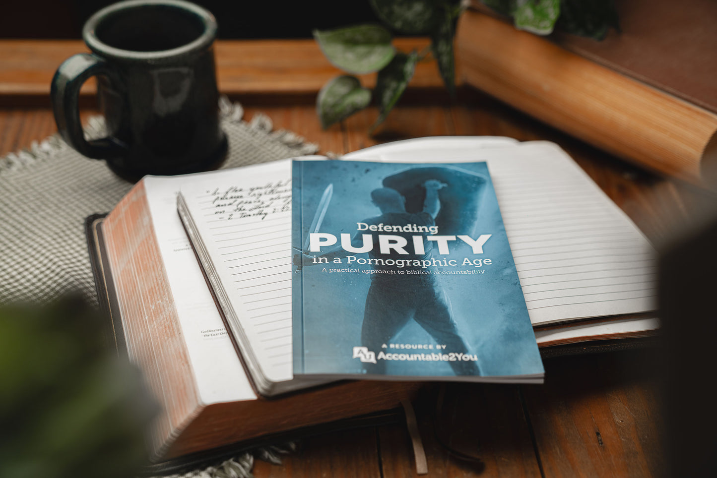 Defending Purity in a Pornographic Age (Book)