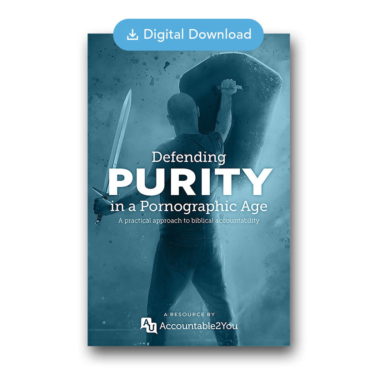 Defending Purity in a Pornographic Age (Ebook)