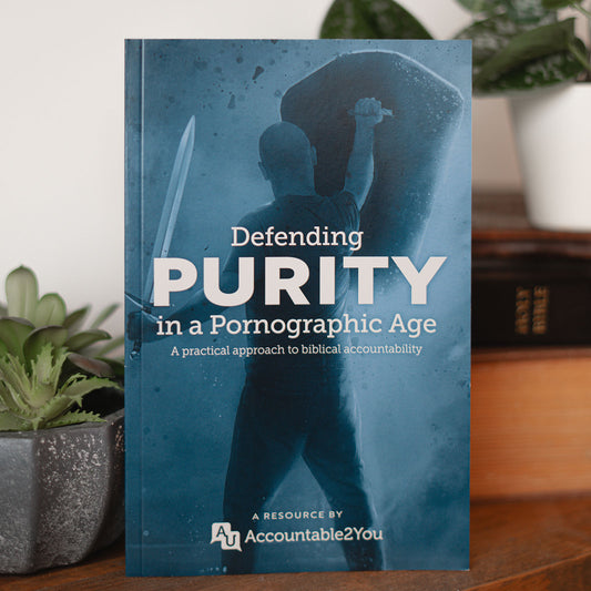 Defending Purity in a Pornographic Age (Book)